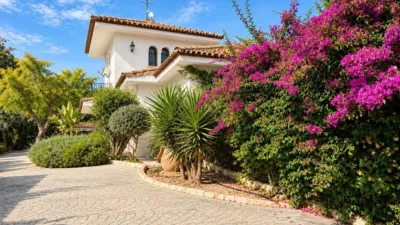 Casa – Elx - Elche - Vista 4