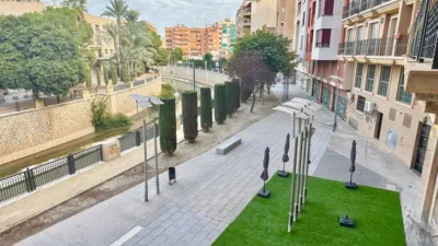 Pis – Orihuela, Obispo Rocamora - Vista 5