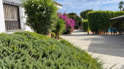 Casa – Elx - Elche - Vista 3