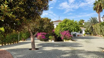 Casa – Elx - Elche - Vista 5