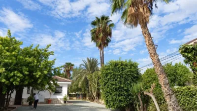 Casa – Elx - Elche - Vista 2