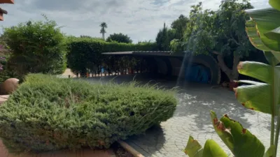 Casa – Elx - Elche - Más