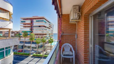 Pis – Torrevieja, San Roque - Vista 2