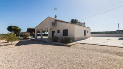 Casa – Elx - Elche - Más