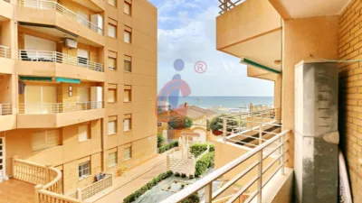 Pis – Guardamar del Segura, Urbanització Pinar de Guardamar - Vista 2