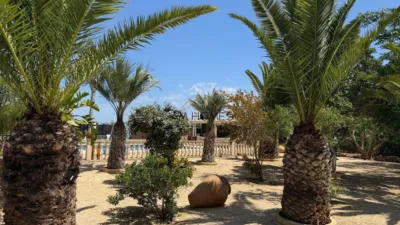 Casa – Elx - Elche - Vista 3