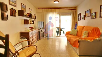 Pis – Guardamar del Segura, Urbanització Pinar de Guardamar - Més