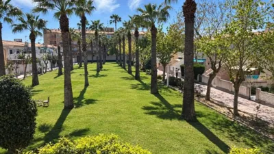 Piso – Orihuela - Vista 3