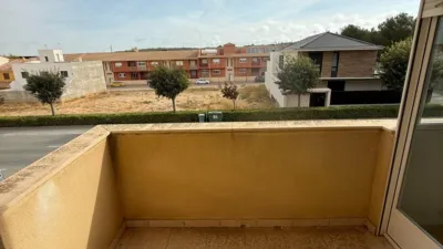 Pis - Vista 5