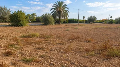 Casa – Elx - Elche - Vista 2
