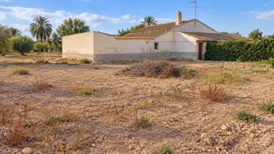 Casa – Elx - Elche - Vista 3
