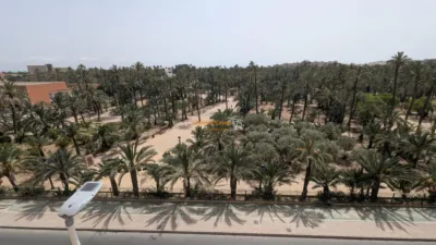 Pis – Elx - Elche - Vista 4