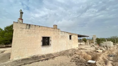 Casa – Elx - Elche - Vista 5