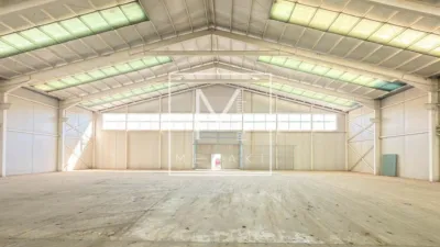 Nave industrial en alquiler en Polígono Romica - Vista 3