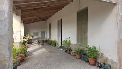 Casa – Elx - Elche - Vista 4