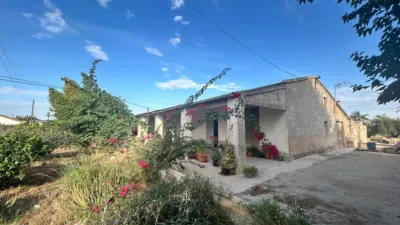 Casa – Elx - Elche - Més