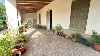 Casa – Elx - Elche - Vista 3