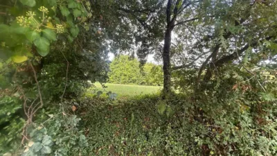 Terreno en venta en Palmeira - Vista 5