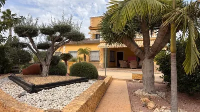 Casa – Elx - Elche - Vista 2