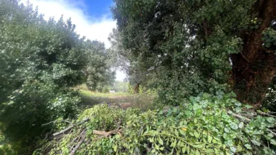 Terreno en venta en Palmeira - Vista 4