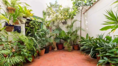 Piso – Alicante - Alacant - Vista 2