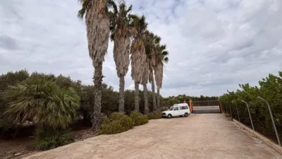 Casa – Elx - Elche - Vista 4