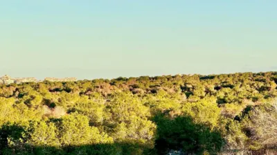 Casa – Torrevieja - Vista 2