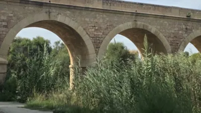 Pis – Orihuela, El Pinar de Campoamor, Dehesa de Campoamor - Vista 5