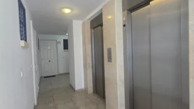 Pis – Orihuela, El Pinar de Campoamor, Dehesa de Campoamor - Més