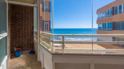 Pis – Torrevieja - Vista 4