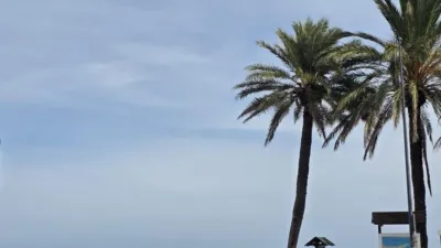 Pis – Orihuela, El Pinar de Campoamor, Dehesa de Campoamor - Vista 3