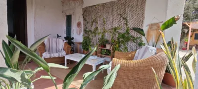 Casa – Elx - Elche - Vista 4