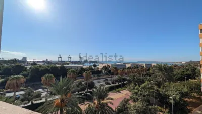 Pis – Alicante - Alacant - Vista 3