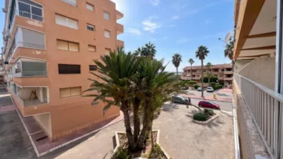 Pis – Guardamar del Segura - Vista 3