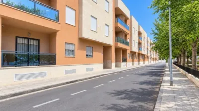 Pis – Orihuela - Vista 2