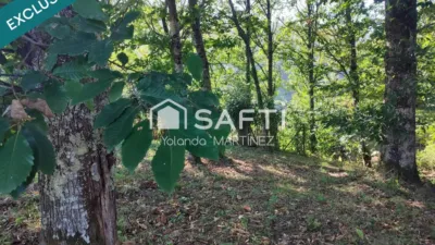 Terreno en venta en Reino (Trasmonte) - Més
