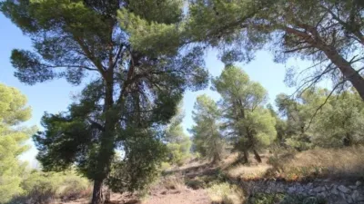 Casa - Vista 2