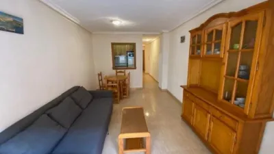 Pis – Torrevieja - Vista 5