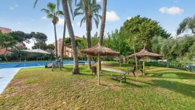 Pis – Alicante - Alacant - Vista 3