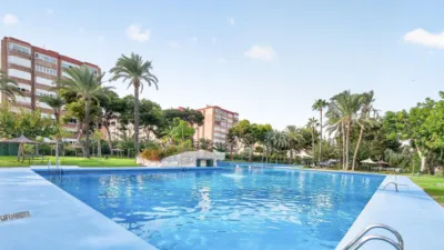 Pis – Alicante - Alacant - Vista 2