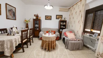 Miniatura 11
