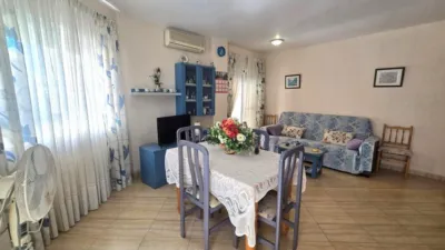 Pis – Torrevieja - Vista 4