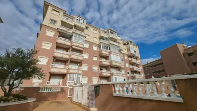 Pis – Torrevieja - Vista 4