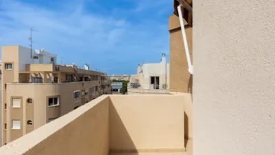 Pis – Torrevieja - Vista 5
