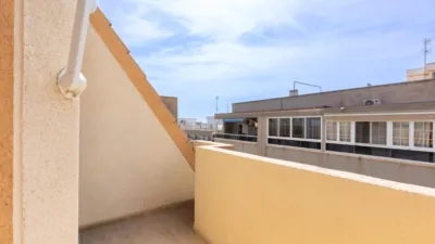 Pis – Torrevieja - Vista 4