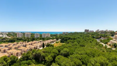 Piso – Orihuela - Vista 2