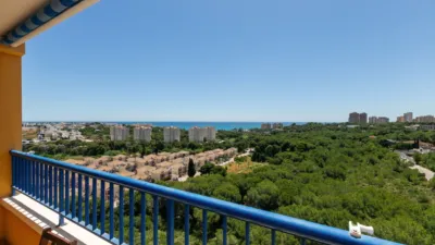 Piso – Orihuela - Vista 3