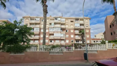 Pis – Torrevieja, Cabo Cervera-Playa la Mata - Vista 2