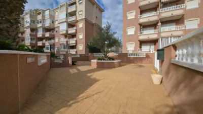 Pis – Torrevieja, Cabo Cervera-Playa la Mata - Vista 3