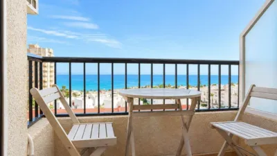 Pis – Torrevieja - Vista 4
